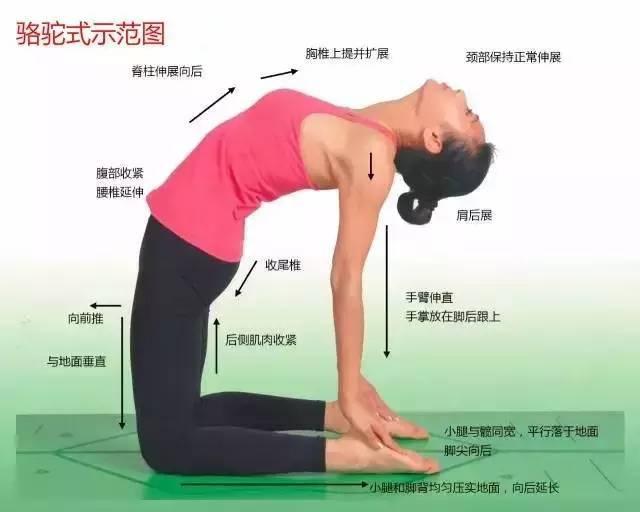瑜伽108式标准体位图以及练习要点详解(图3)